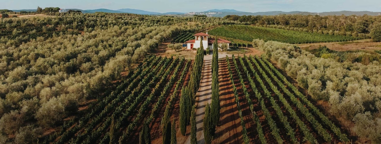 Azienda Agricola Valentini