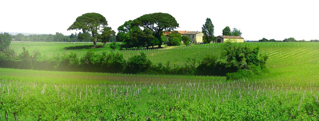 Château Tour Maillet