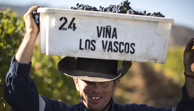 Los Vascos | Domaines Barons de Rothschild