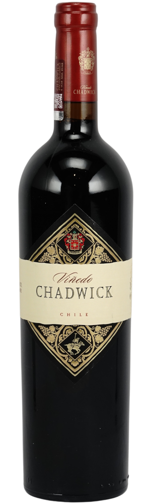 2022 Viñedo Chadwick Cabernet Sauvignon | DMG